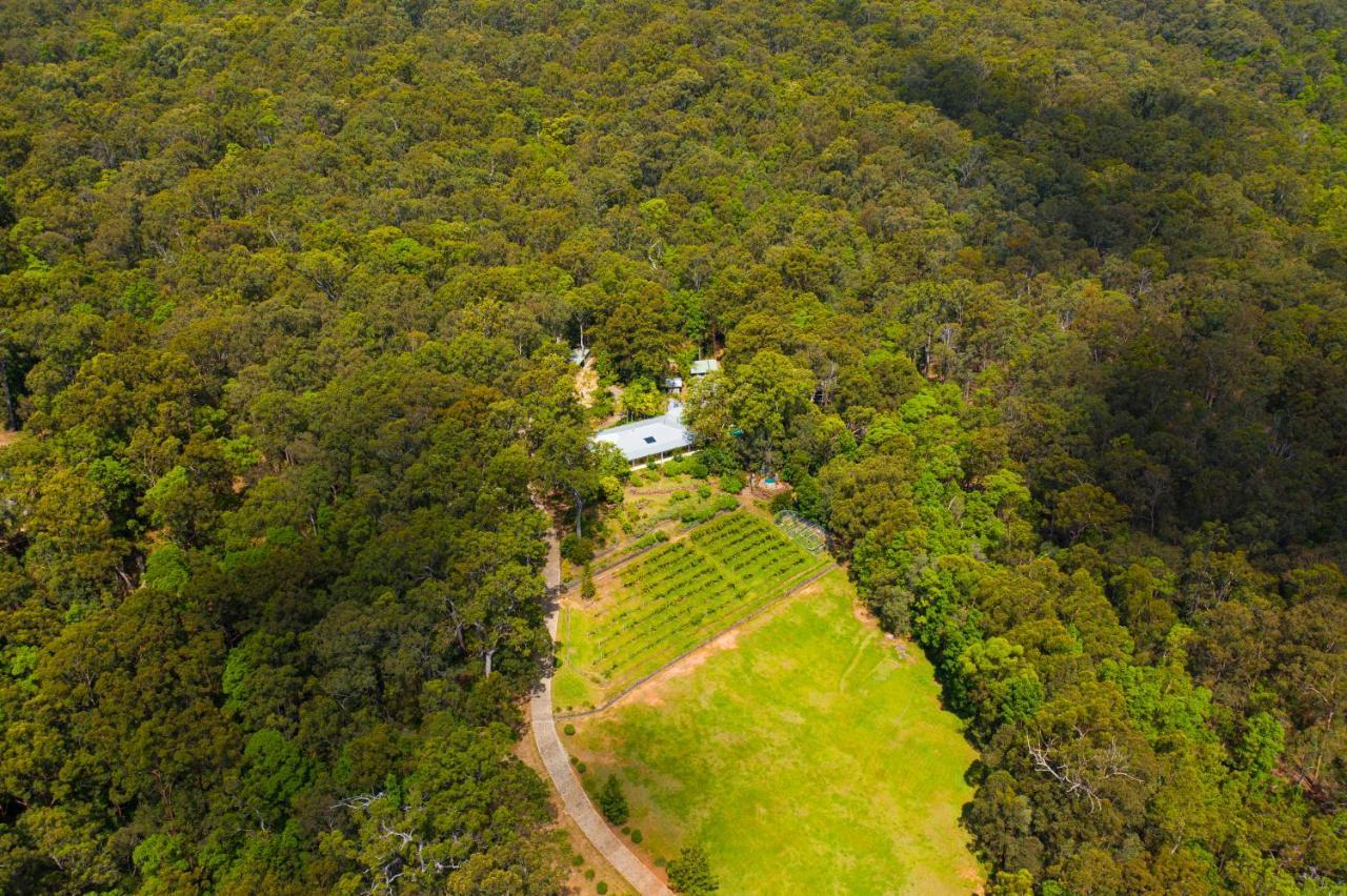 Wallaby Ridge Retreat Mount Tamborine Εξωτερικό φωτογραφία