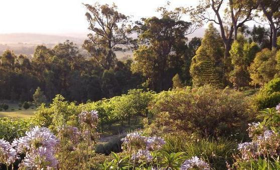 Wallaby Ridge Retreat Mount Tamborine Εξωτερικό φωτογραφία